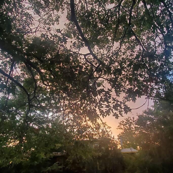 Cozy, Cheerful & Charming Cabin - Historic Julian Ngoại thất bức ảnh
